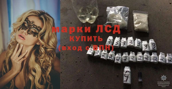 гашик Заволжье