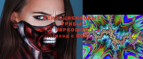 МДМА Ельня